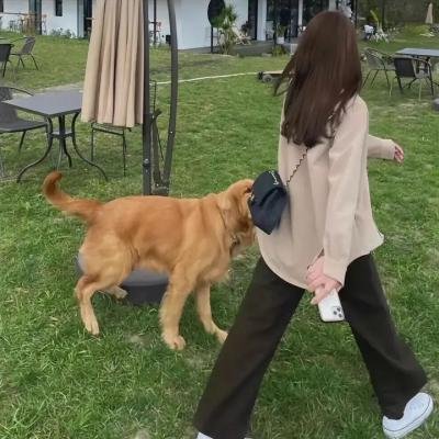 伦敦一家人